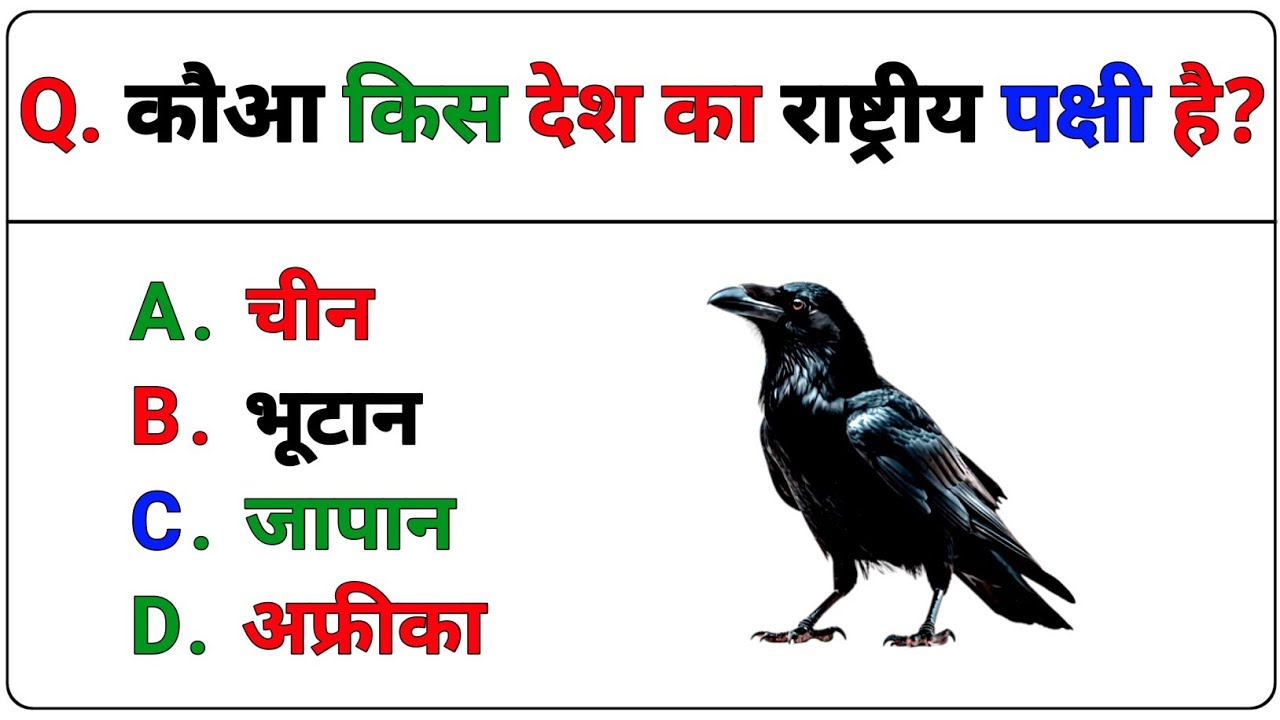 General Knowledge Quiz | सामान्य ज्ञान क्विज | gk questions