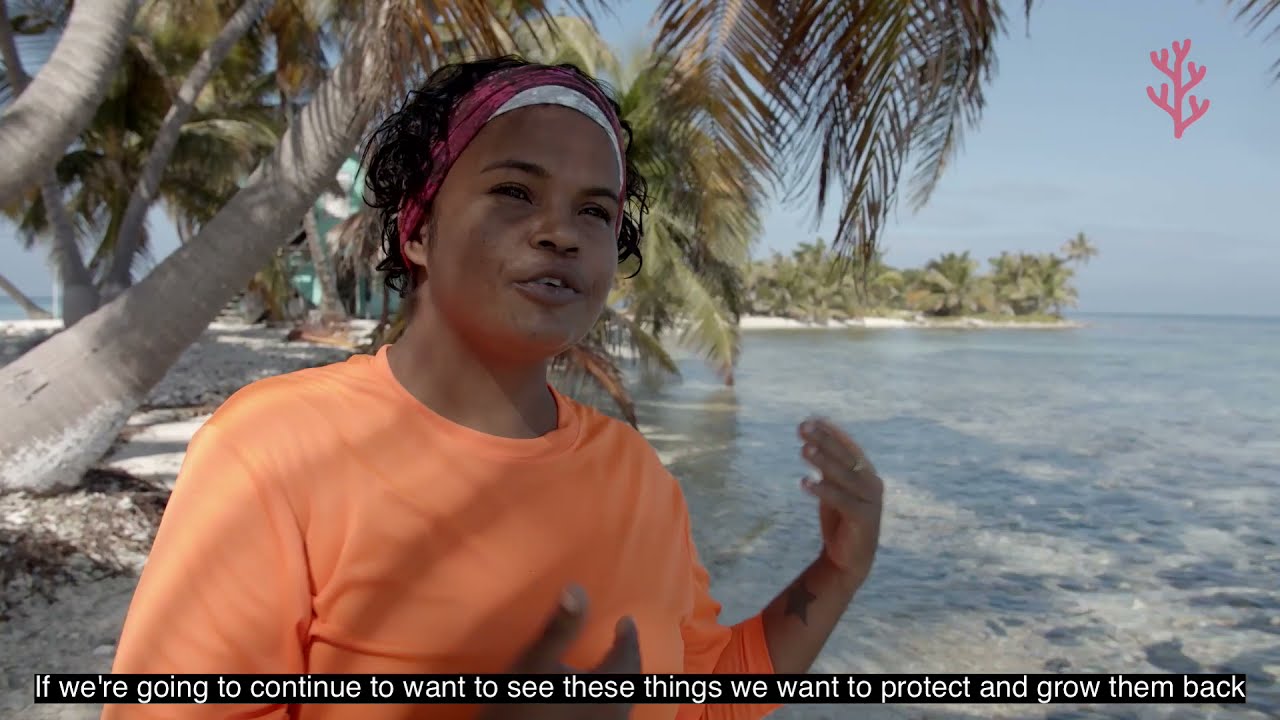 Case Study - Fragments of Hope: Community-Led Coral Reef Restoration