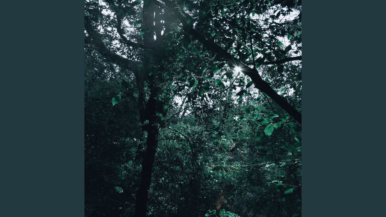Beyond