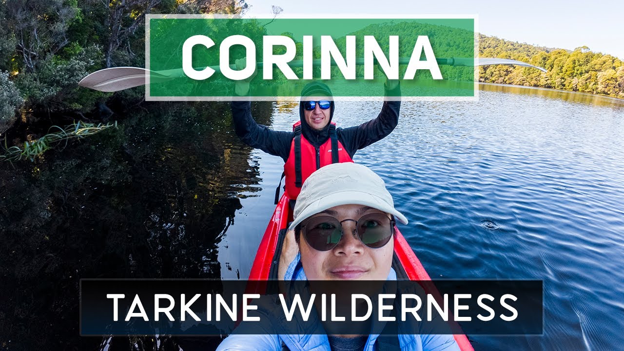 Tasmania’s Best Kept SECRET: The Tarkine Wilderness 🦘