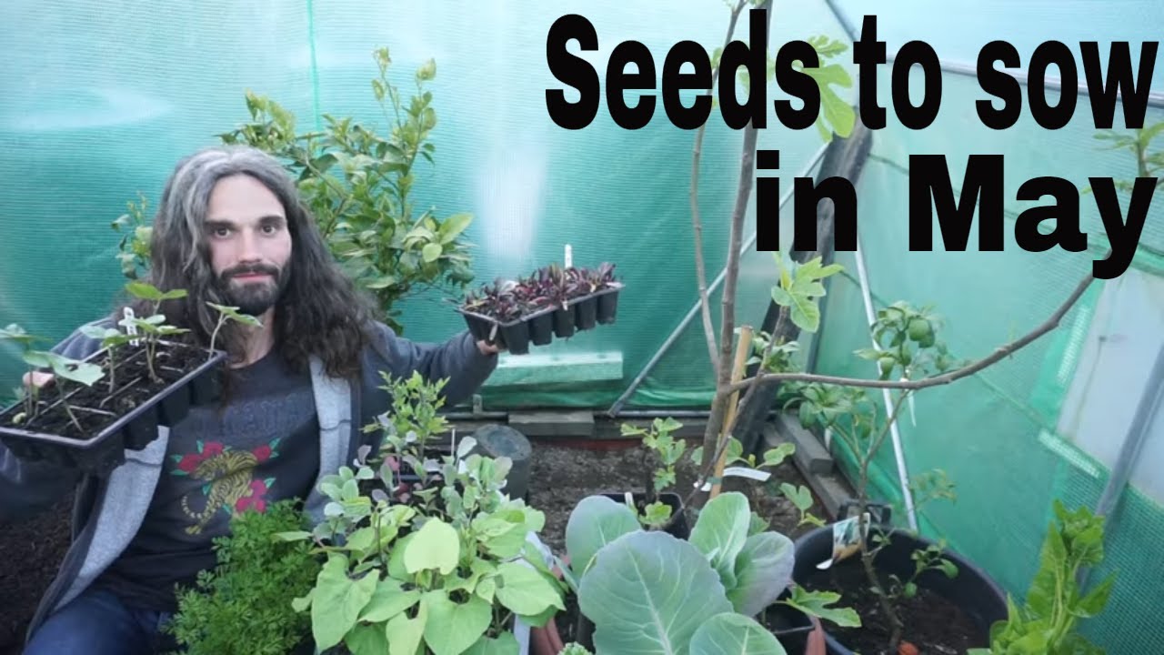What to plant in May | Seeds to sow in May | What can I plant in May | Spring planting