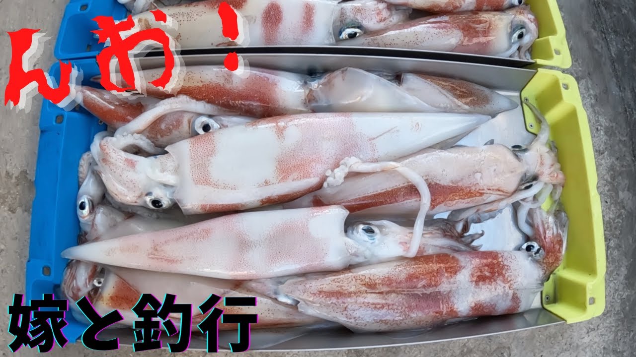 超激流と大量のゴミが流れてくる！シロイカは釣れるの？一発丸乗船！嫁も三度目強制参加