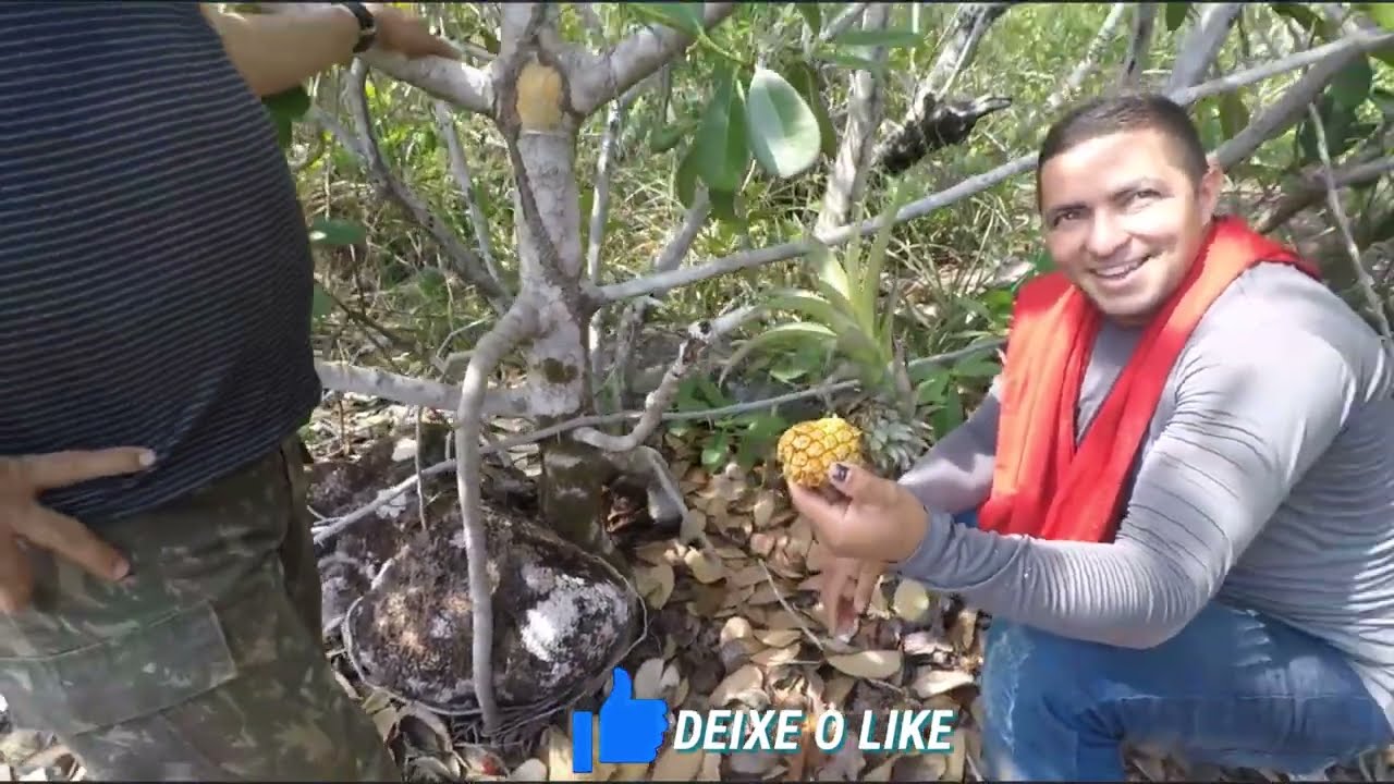 ALDEIA INDÍGENA NA AMAZÕNIA