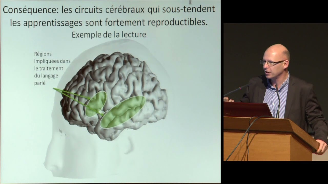 Sciences cognitives et éducation (2) - Stanislas Dehaene (2012-2013)