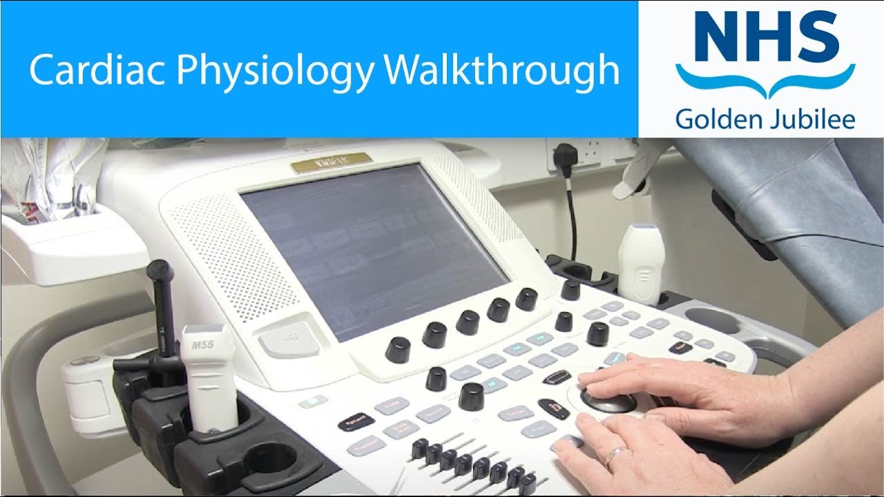 Cardiac Physiology Walkthrough