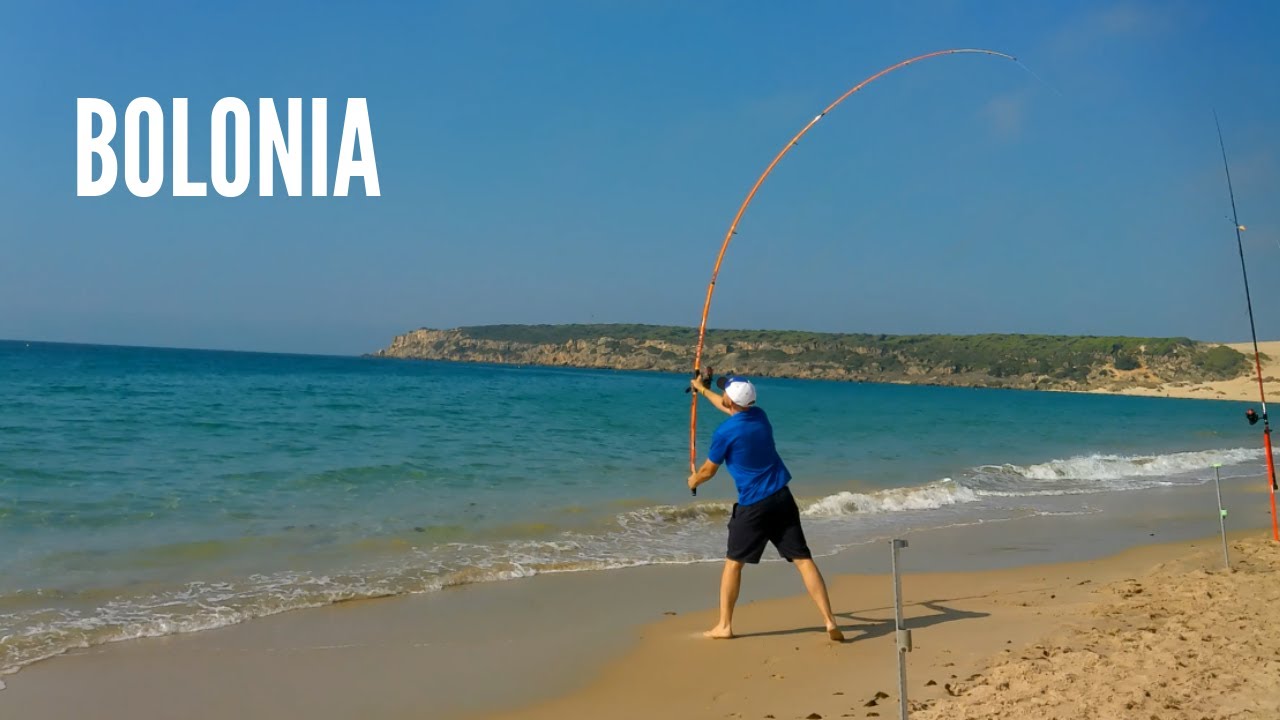 Surfcasting en Bolonia