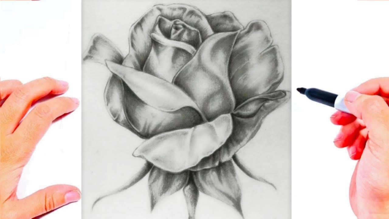 طريقة رسم وردة سهلة وجميلة  \ رسم سهل \ رسم زهرة بقلم الرصاص \ تعليم الرسم \ رسومات سهلة بالرصاص