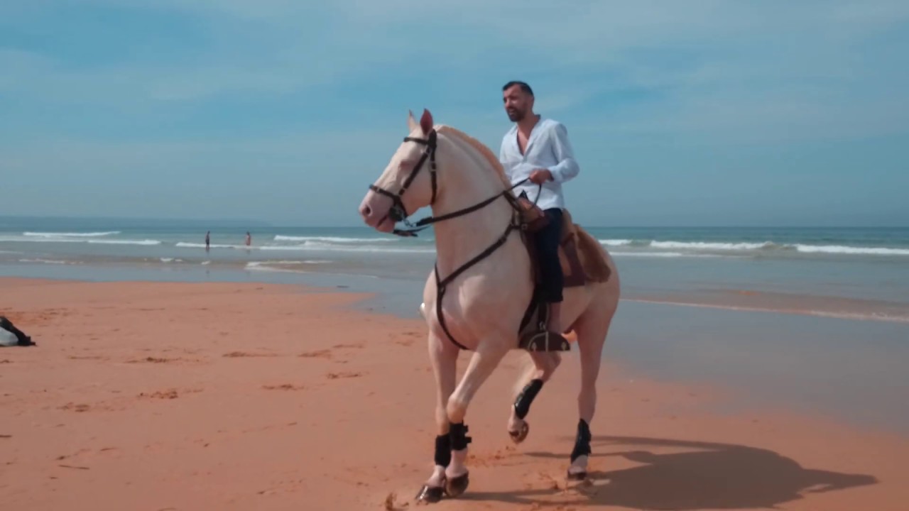 Luis Pipoka (Sem ti)