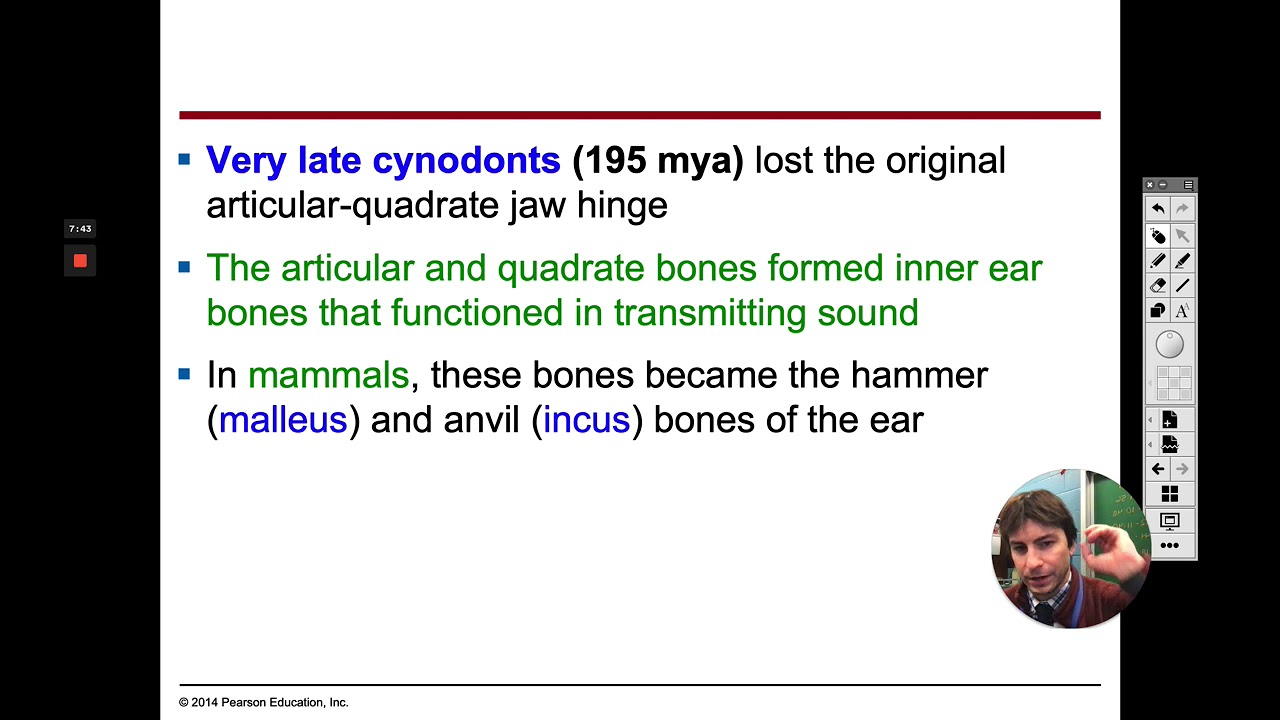 AP Biology #77 - Geologic Record
