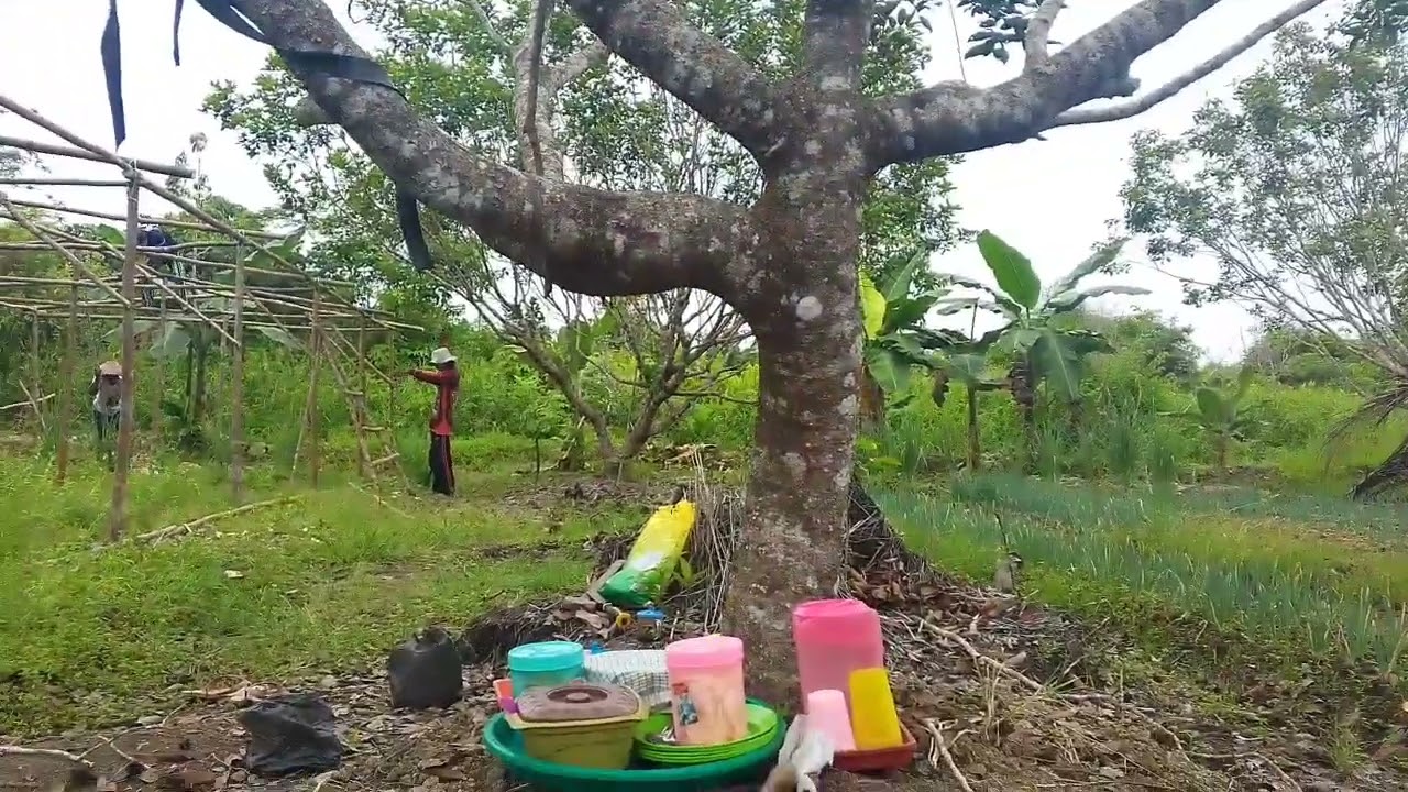 JANGAN SANGKUTKAN ANAK2 SAYA DALAM HAL APA PUN!!TERIMAKASIH TIM DARI MANADO🙏🏻
