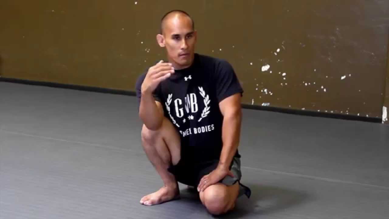 Mobility & Flexibility in Quadrupedal Locomotion Movements