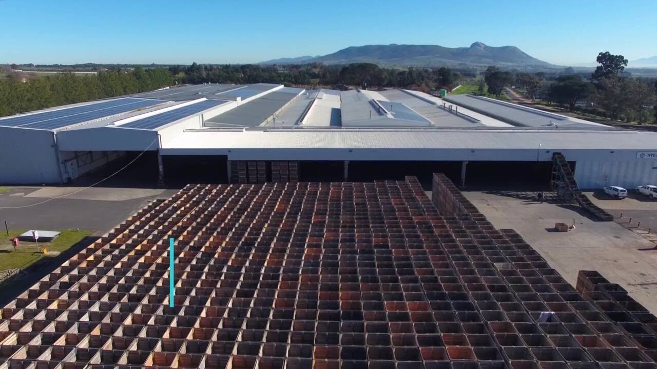 Customer Story - Stellenpak - Integrated Citrus Solution