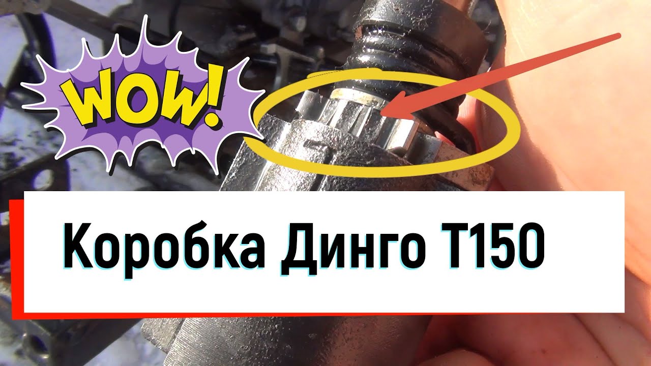 Снегоход Динго Т150. Ремонт коробки передач.