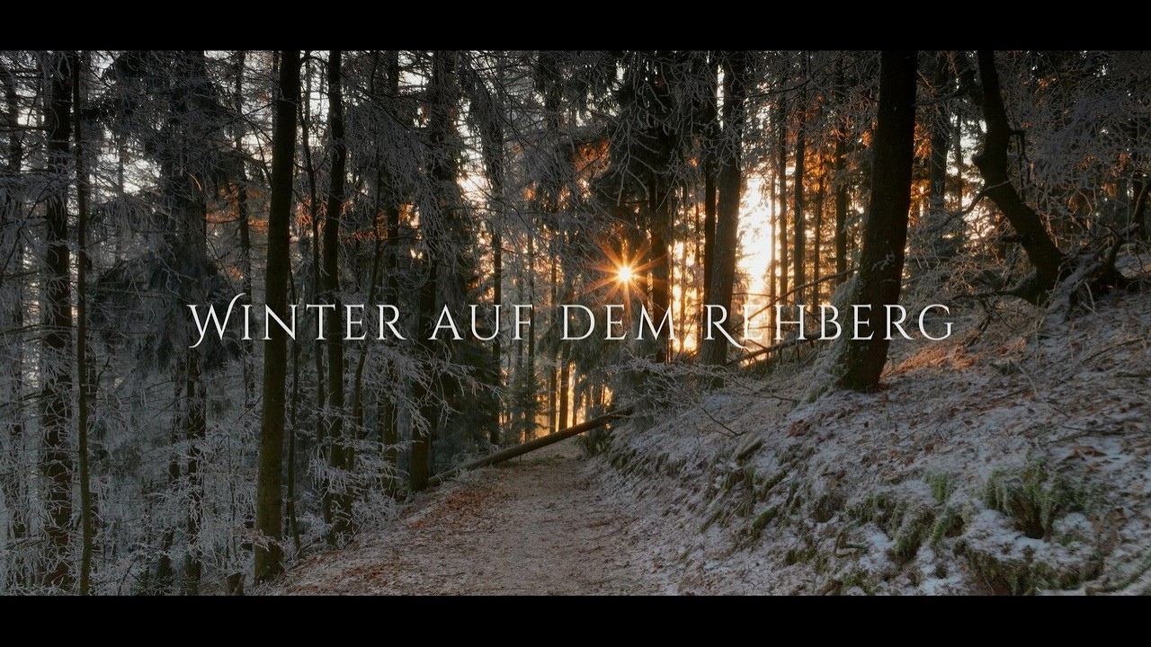 Winter auf dem Rehberg (Cine 4k)