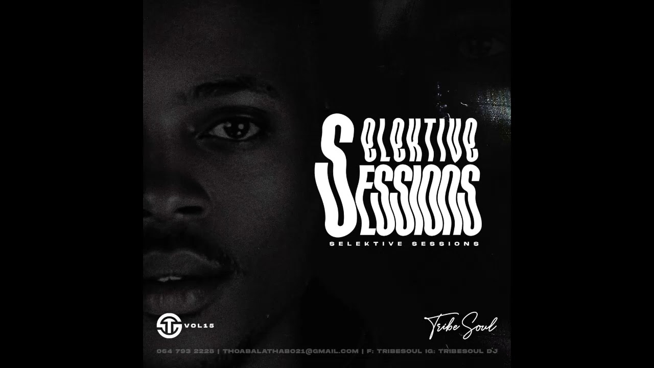 Selektive Sessions 015 Mixed by Tribesoul