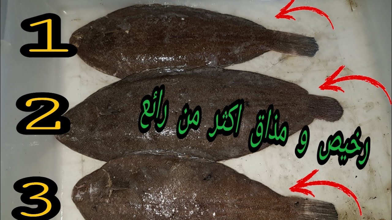 #سمك موسى #الصول #Sole 
 اجي تعرف الآسرار ديال الصول!! صول ديال البسطاء و صول ديال الاغنياء!! 🚫