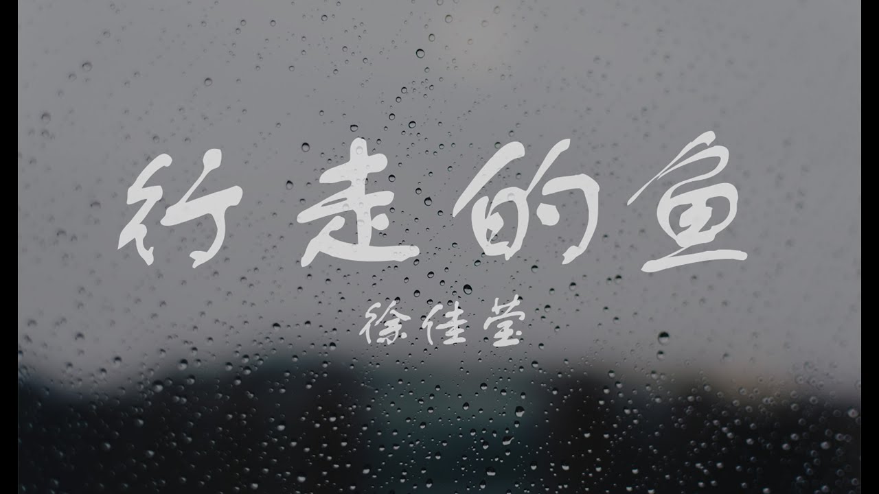 徐佳莹 一小时 行走的鱼