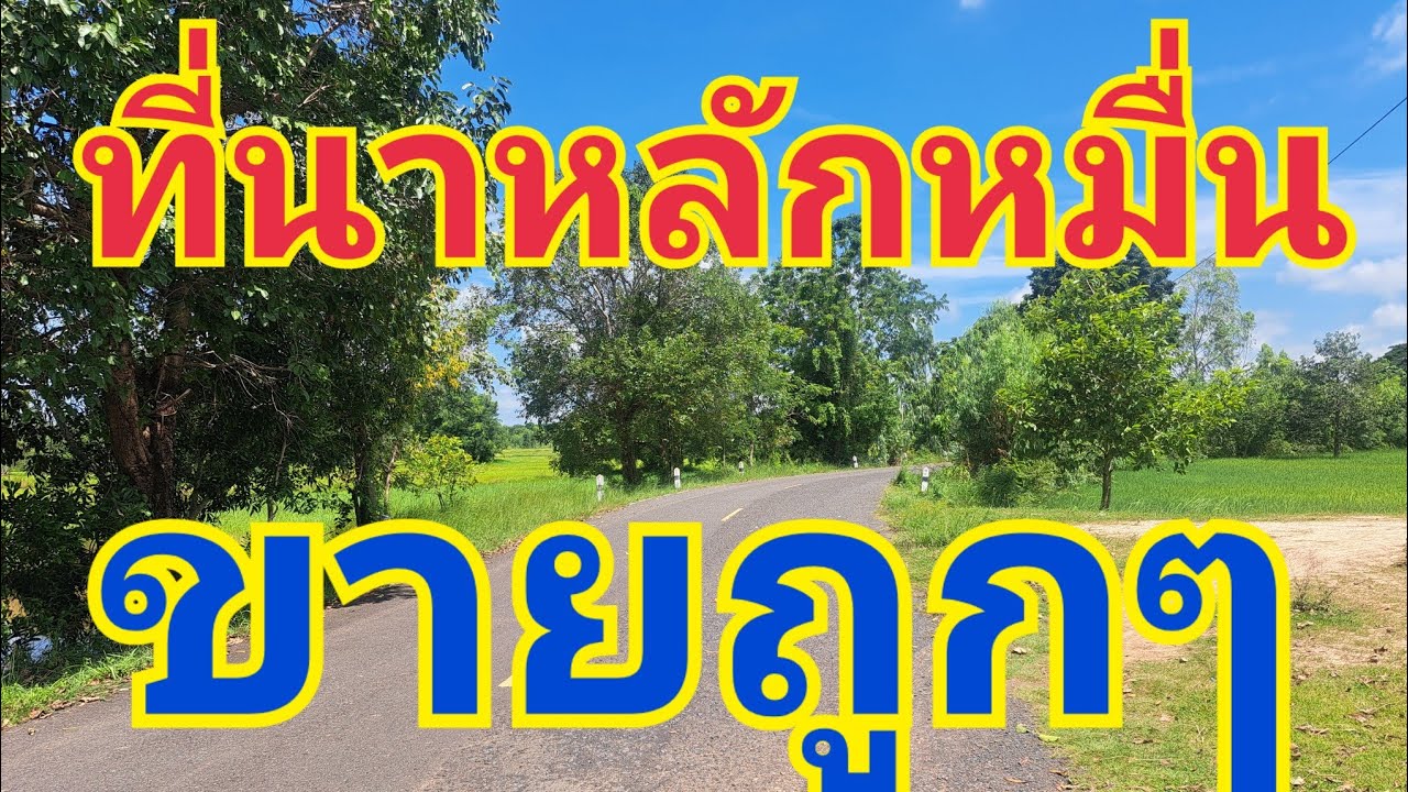 EP.# 545# ที่นาราคาหลักหมื่น094-7838419