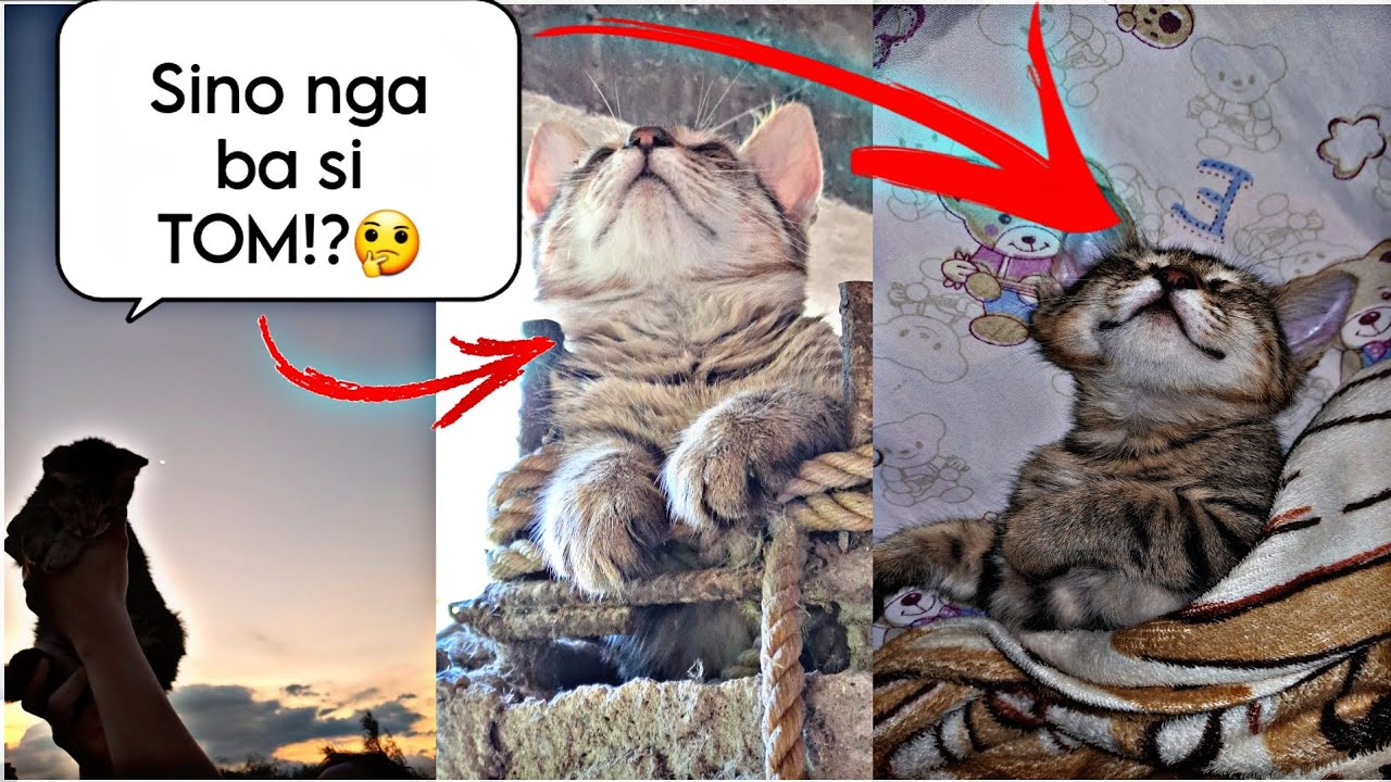 My new favorite pet. @mariavictoriavlogs8050