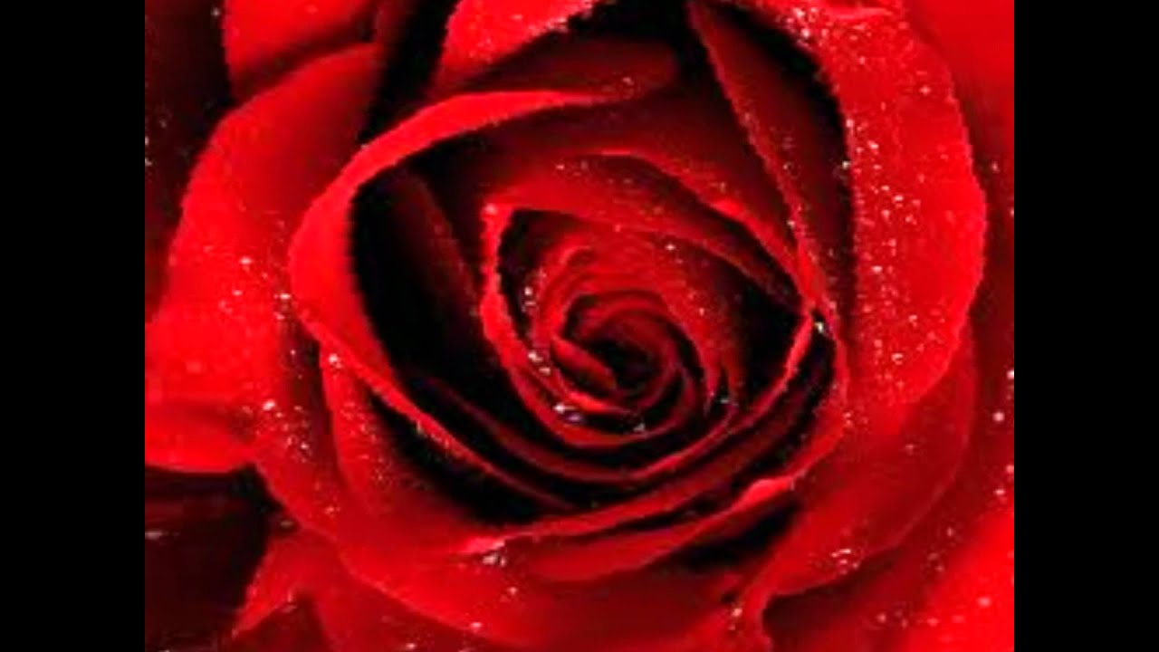 VALENTINES DAY: Mark Holden 