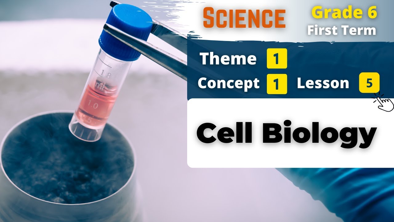 Grade 6 | Cell Biology | Theme 1 - Concept 1 - Lesson 6 | Science