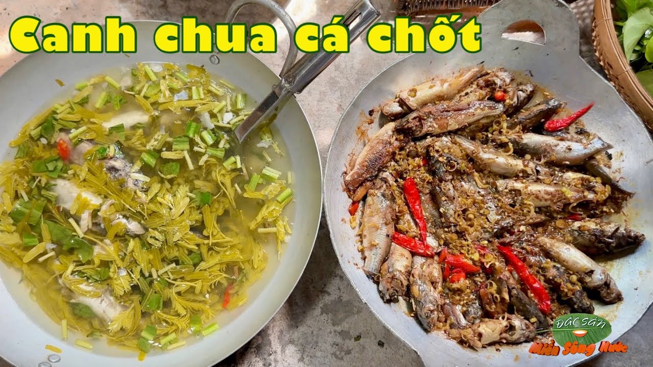 Canh chua cá chốt lá me, cá chốt kho sả đây nè cơm quê | Đặc sản miền sông nước