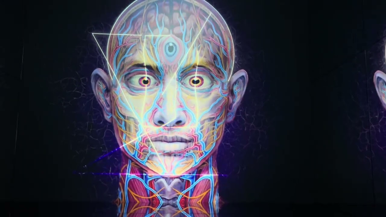 Entheon Exhibition | By Alex Grey & Allyson Grey. London August 2024