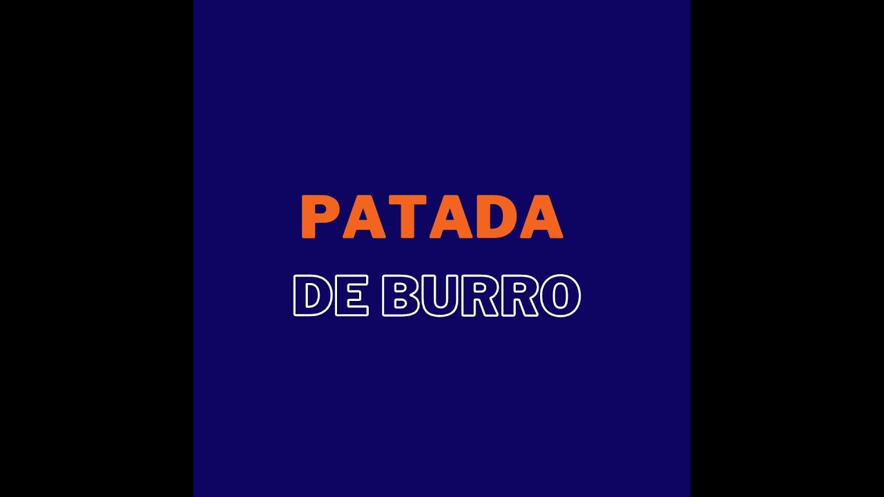 Patada de burro