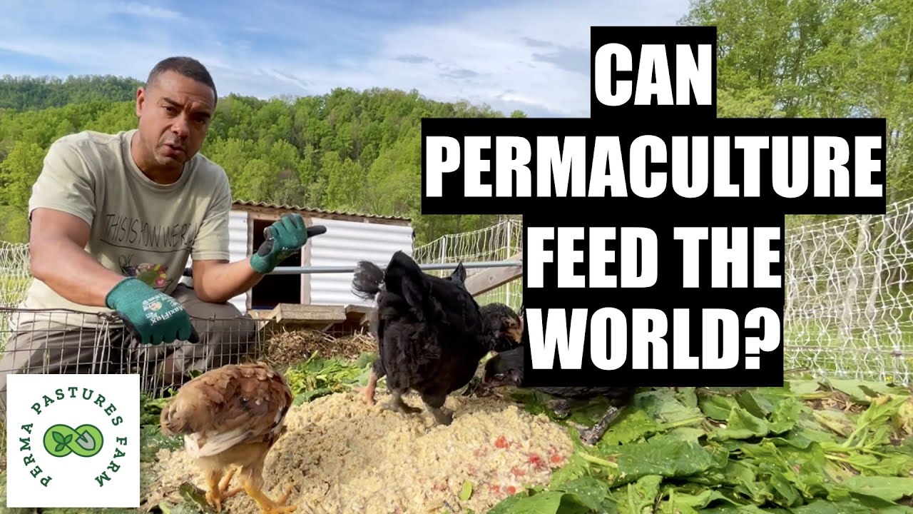 Chicken Tractor On Steroids 3.0 // Pt. 2