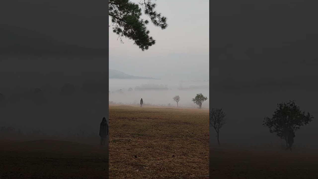 ทุ่งเเสลงหลวง อากาศดีมาก #nature #amazing #เที่ยวไทย #forest 