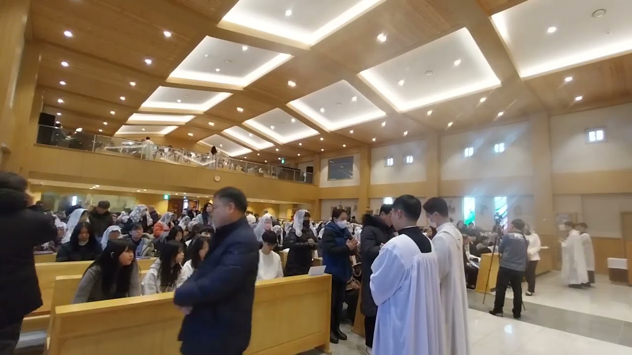 성체344-김부영 새사제 첫미사 20260208