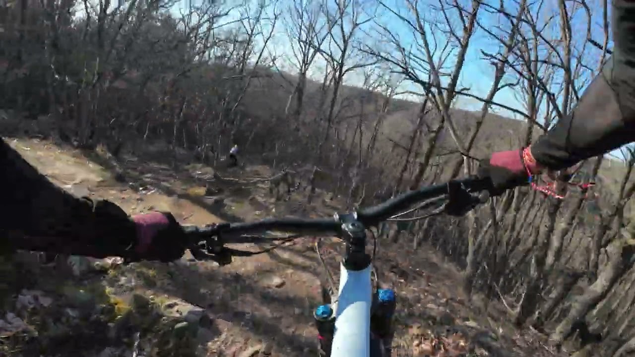 043 (Baba Marta Ride 3rd run)