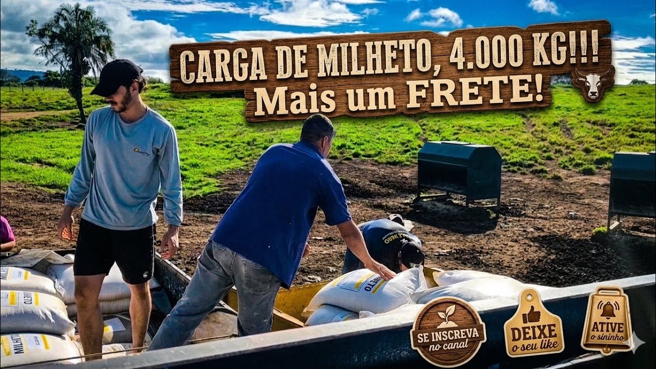 Carga de MILHETO, 4000 KG, Mais um FRETE!!!