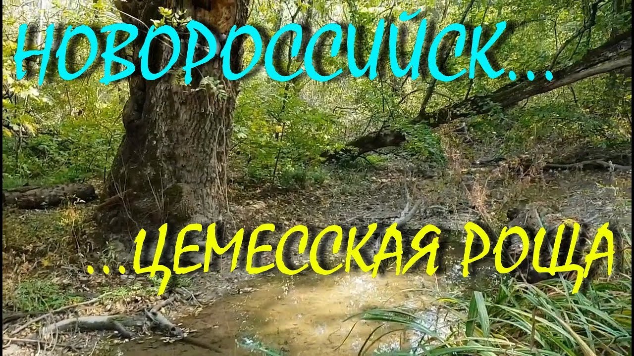 #НОВОРОССИЙСК...ЦЕМЕССКАЯ РОЩА...РЕЛАКС И ЗАПУЩЕНИЕ...18 октября 2018...