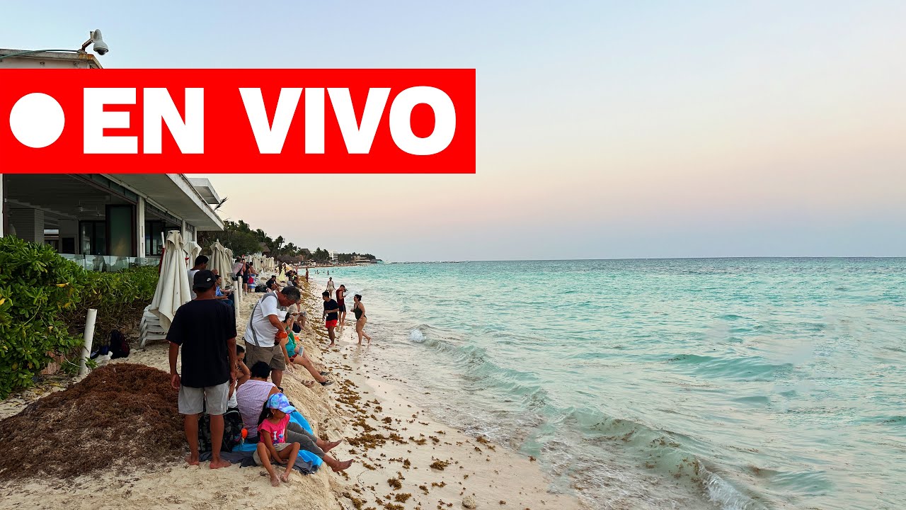 Playa del Carmen en Vivo | Playas Mamitas