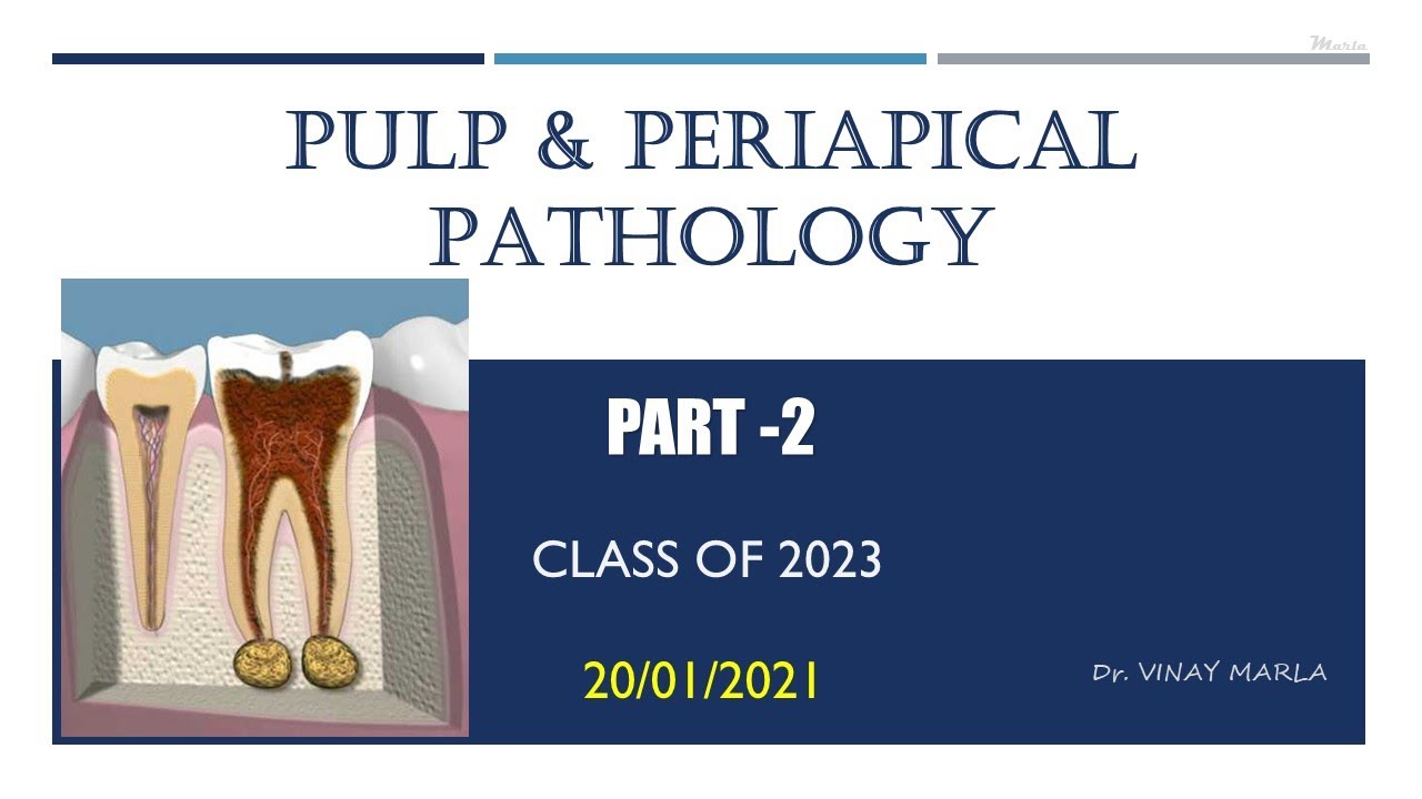 Pulp & Periapical Pathology 2