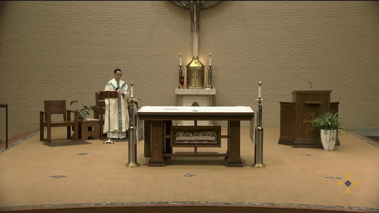 Daily Mass, wednesday  February 11, 2026