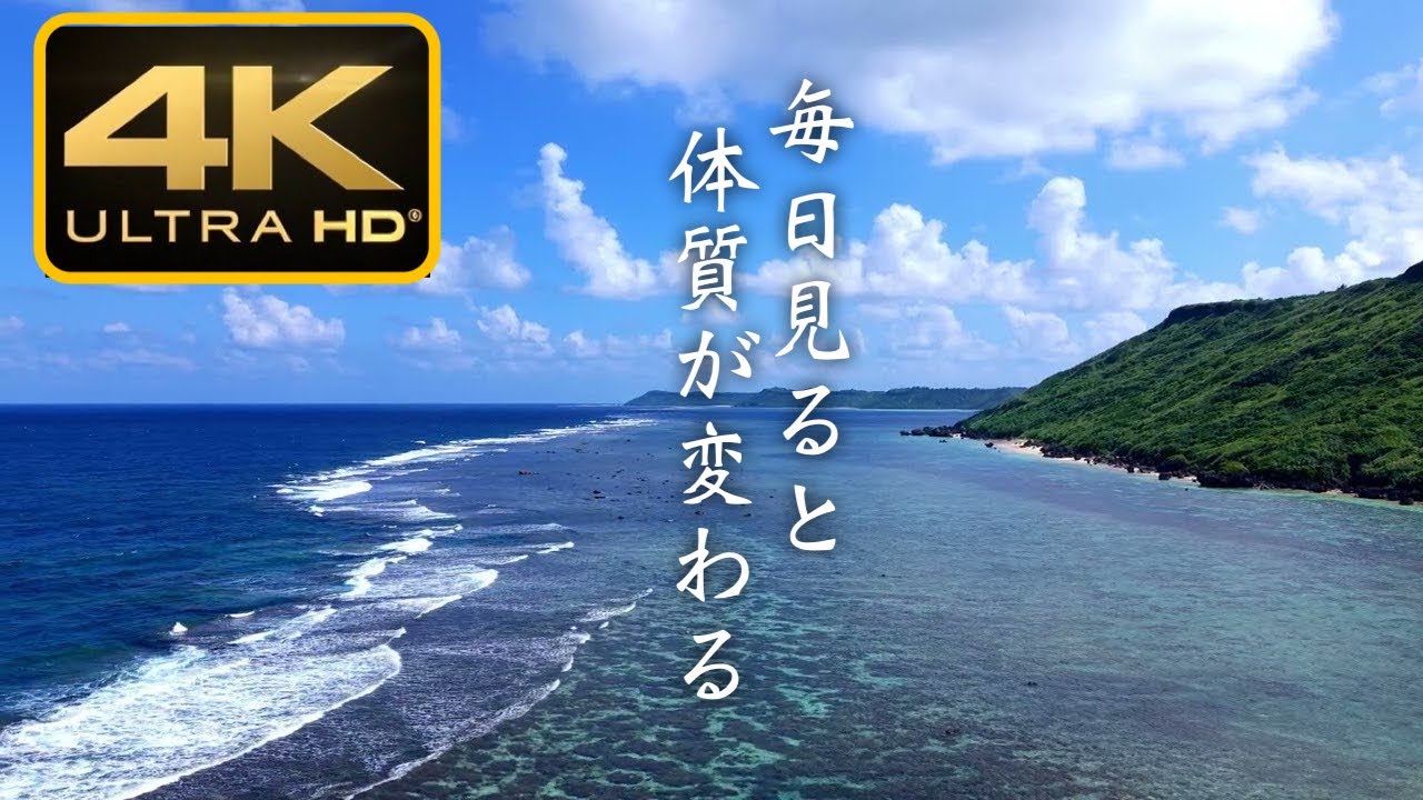 【悪いエネルギーを抜いてくれる】この映像を毎日少しでもご覧ください