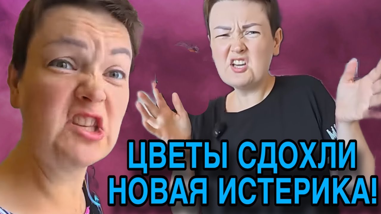 ОЧЕРЕДНАЯ ИСТЕРИКА У ПИРАТКИ. ПИРАТСКАЯ ЖИЗНЬ. ОБЗОР. 