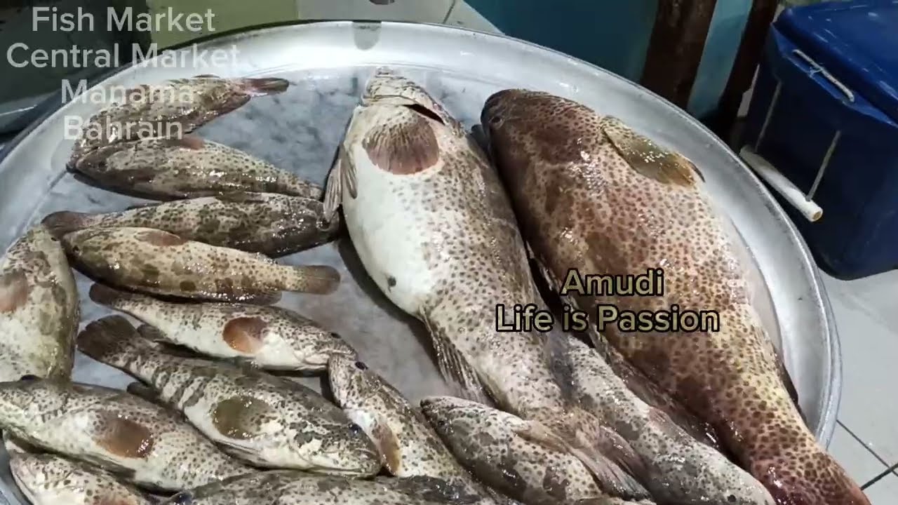 Fish Market ! Central Market ! Manama Bahrain #fresh, #fish,