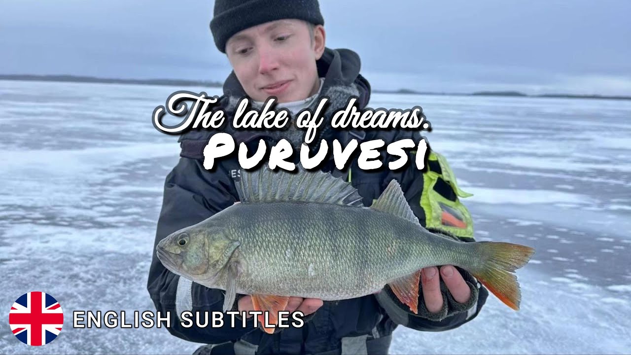 The lake of dreams Puruvesi. suurahvenen per&auml;ss&auml;!(+1KG AHVEN PILKILL&Auml;!?)