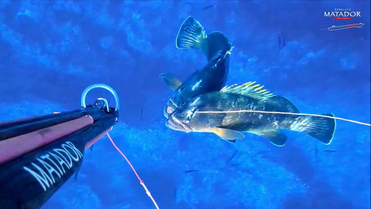 pesca sub | 💦 2 CERNIE CON UNO SPARO‼️ - 💥Matador 76 roller invert