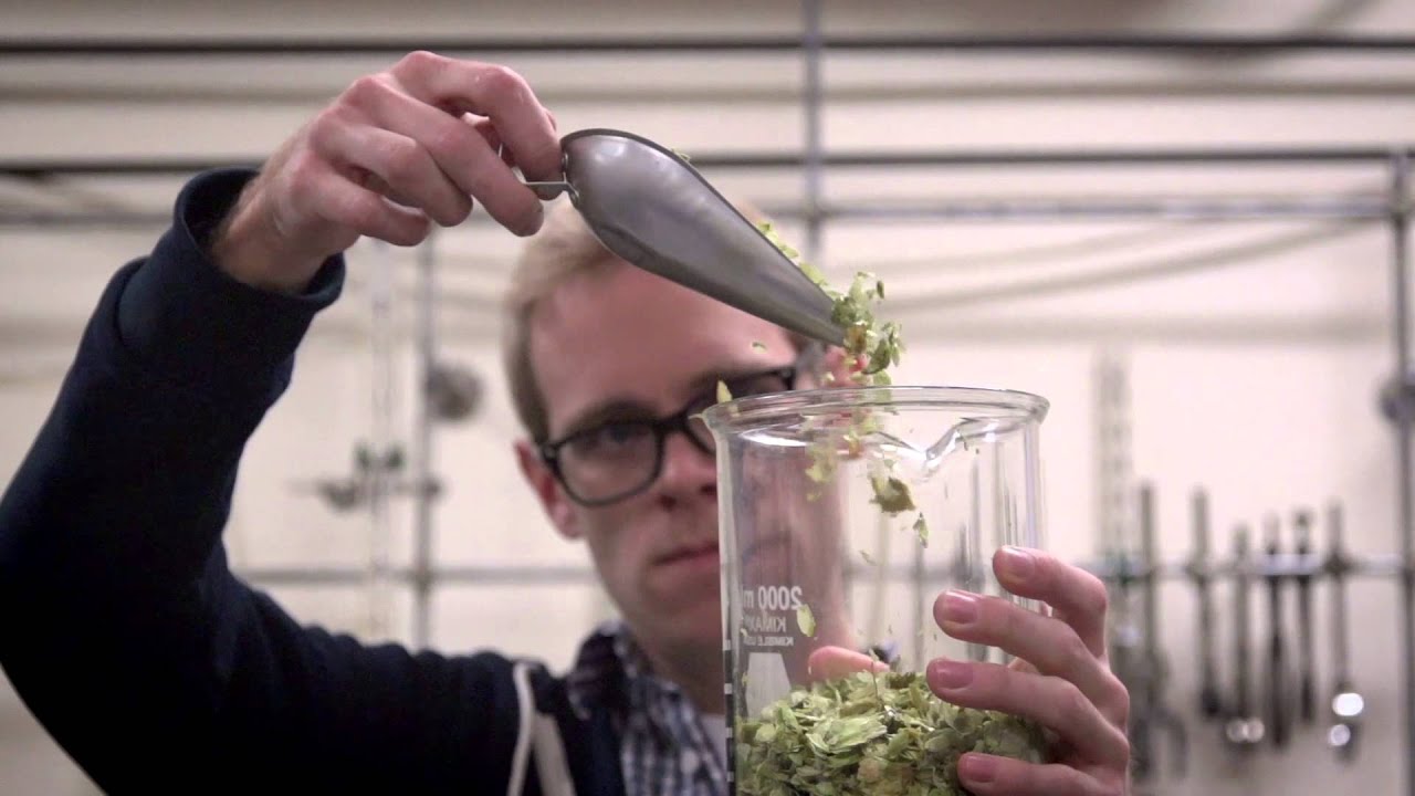 Cascade Hop, Craft Brewing and Oregon State University
