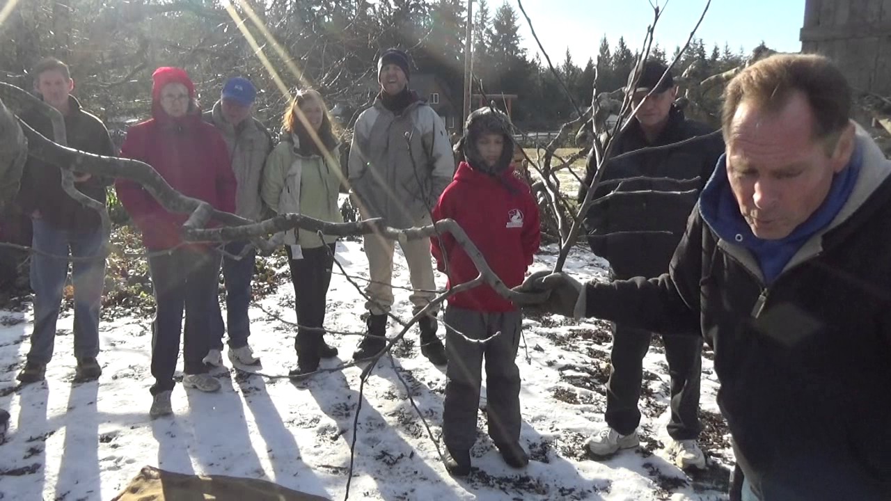 Обрезка деревьев 2017 Сад «Назад в Эдем» L2Survive with Thatnub