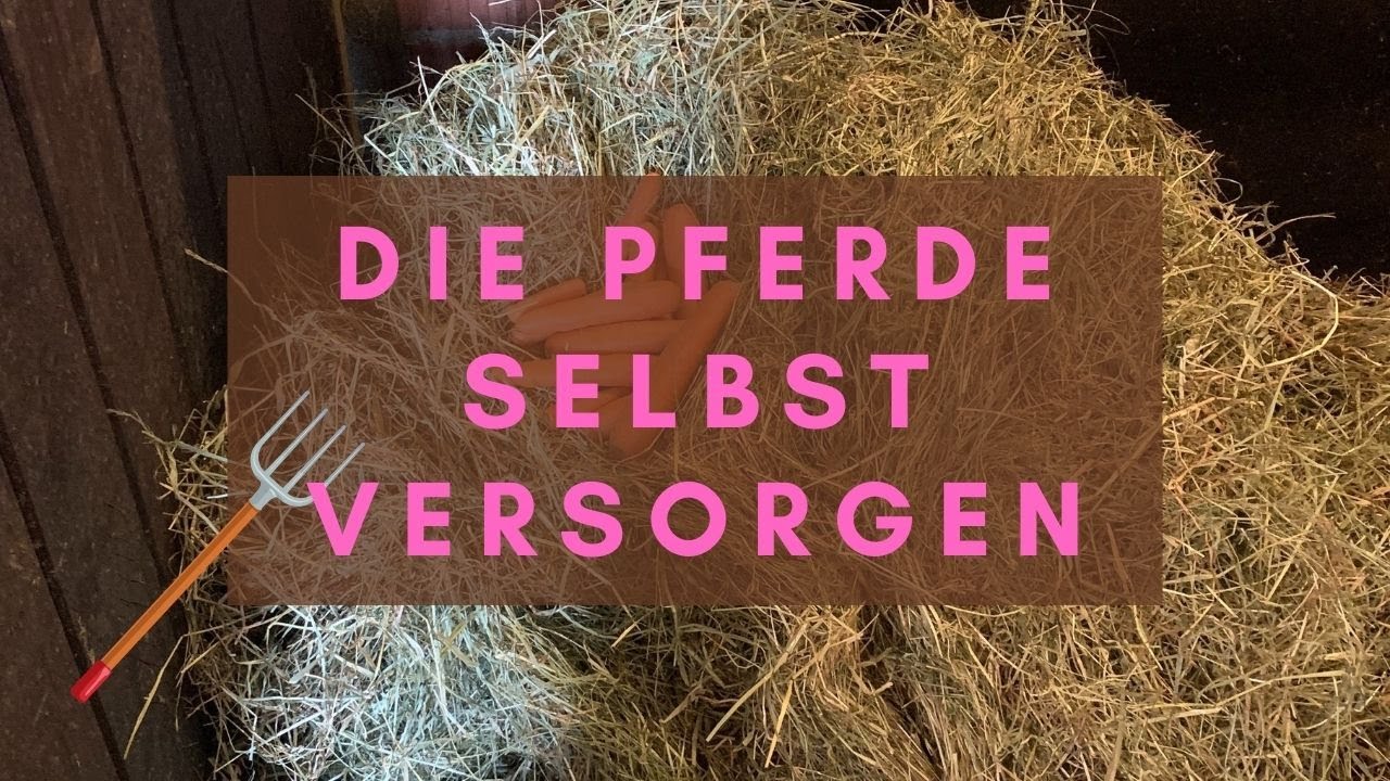 Der Weg zurück in die Selbstversorgung⎪TEIL 1⎪Harriet Charlotte Jensen