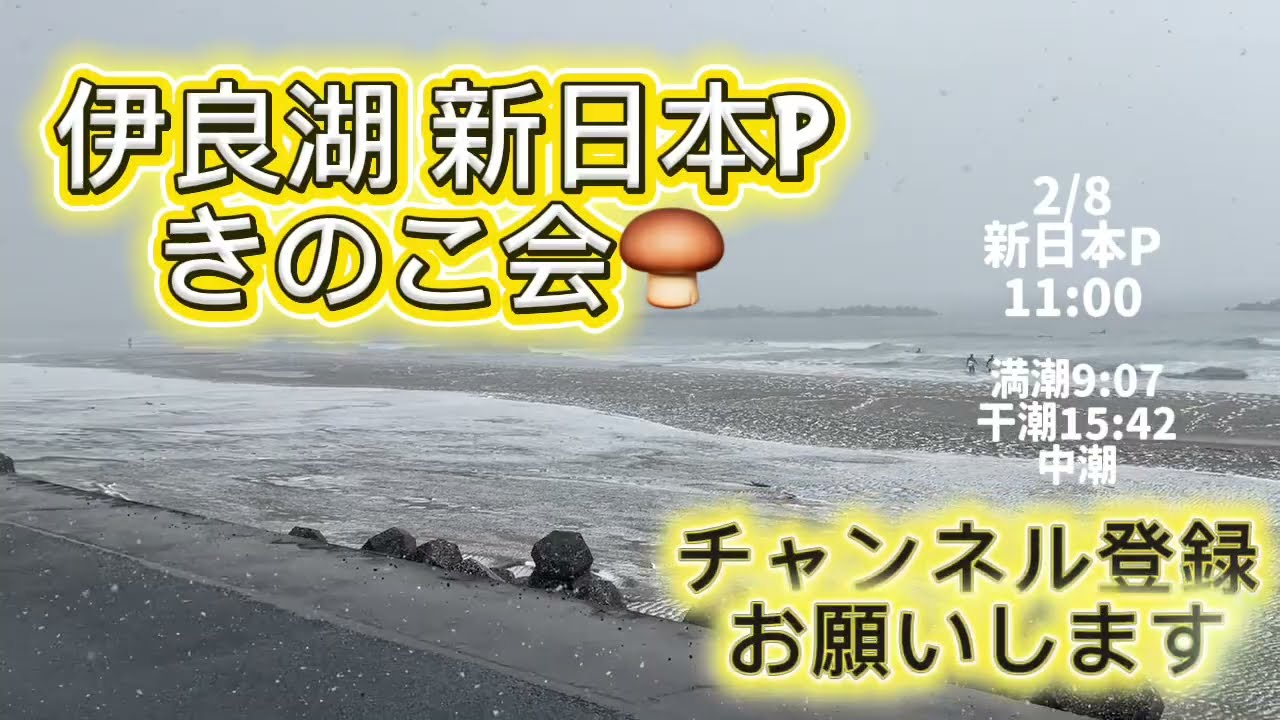 2/8 11:00  新日本P【伊良湖波情報】2026