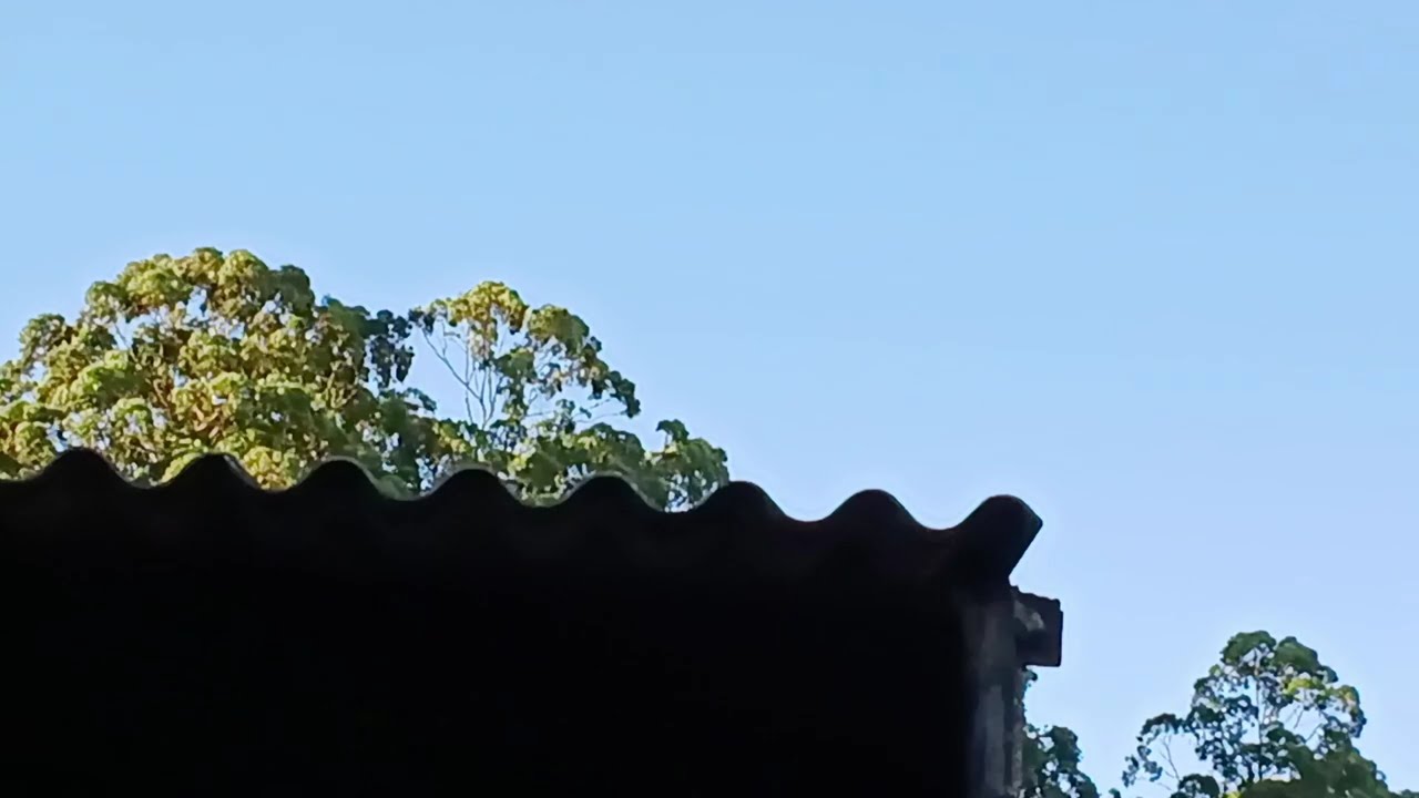 3 de março de 2026