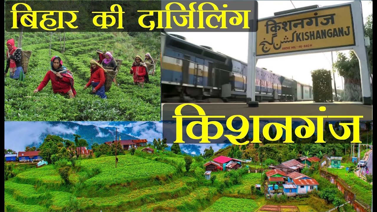 किशनगंज Kisanganj The Tea City of Bihar बिहार में है चाय के बगान Explore Hidden beauty of Bihar
