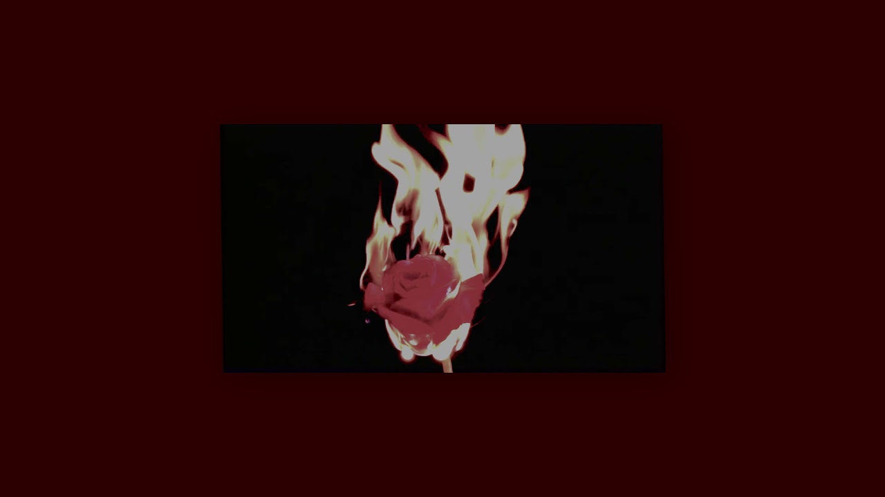 Roar - The Opposite of Flowers (s l o w e d + r e v e r b)