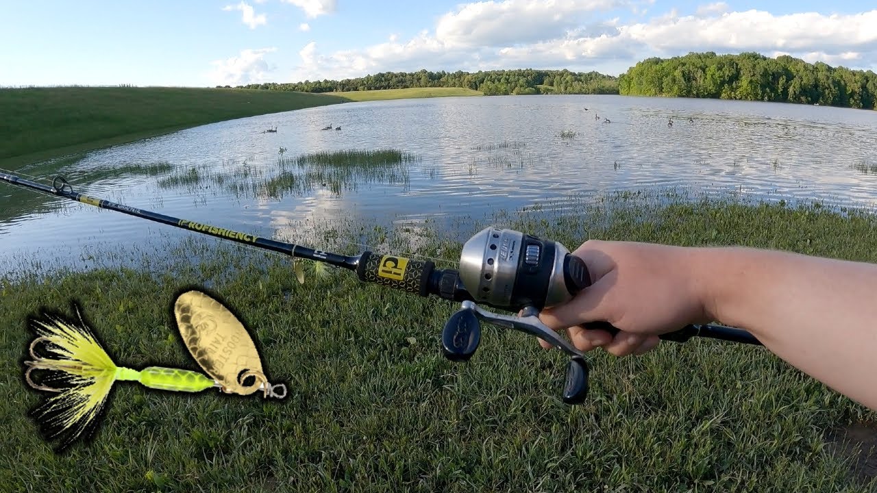 Zebco 33 Micro and a Rooster Tail | Short Bank Fishing Session